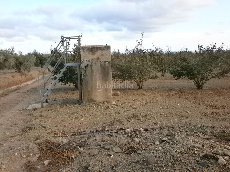 Foto 5848ab7e-ca19-4f56-9e12-10d7ab19e736. Finca rústica a Castellvell del Camp