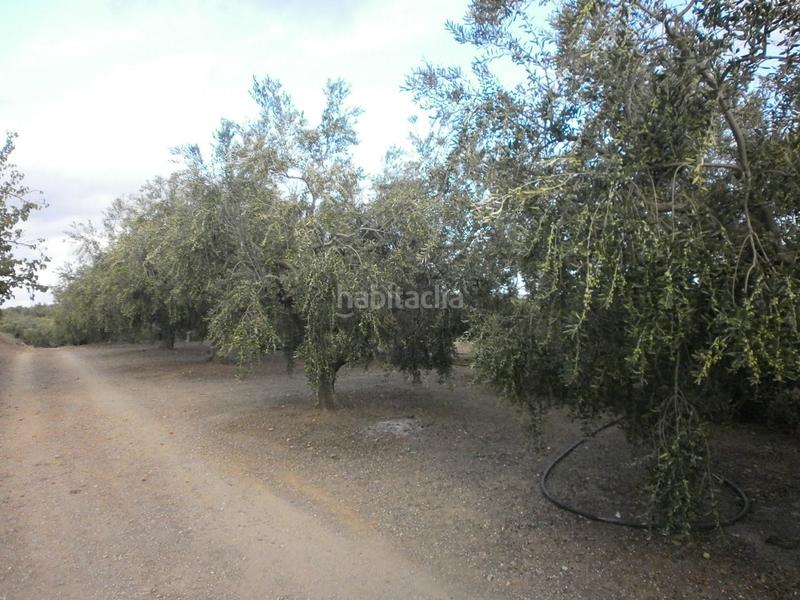 Foto 5945a3e1-c625-490e-a313-184744689713. Finca rústica a Castellvell del Camp