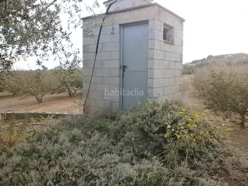 Foto 6f1be4eb-58df-4ee4-a11a-9d798a56cdc5. Finca rústica a Castellvell del Camp