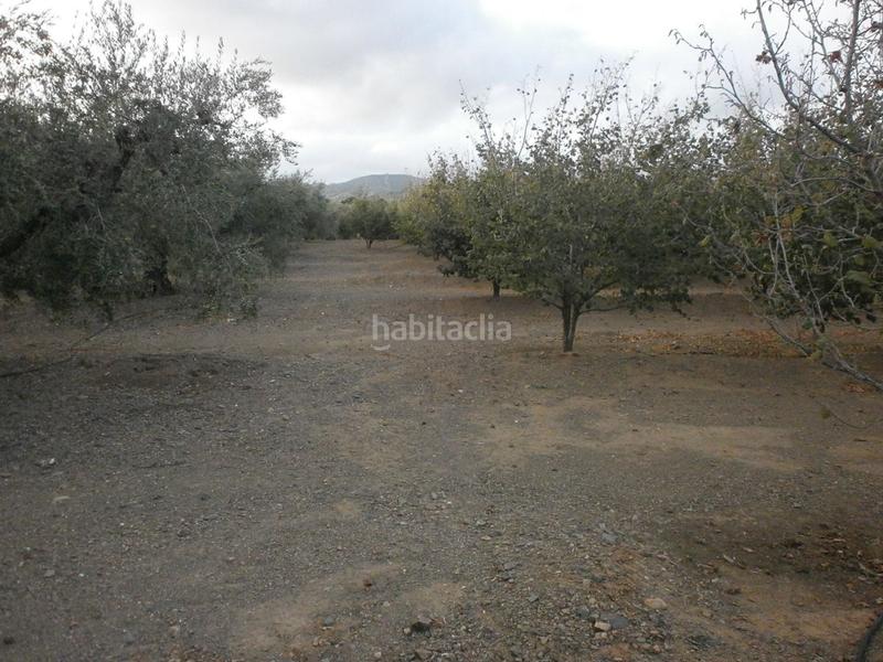 Foto 808eebeb-4a01-4e8a-bcde-fc84188bb72b. Finca rústica a Castellvell del Camp