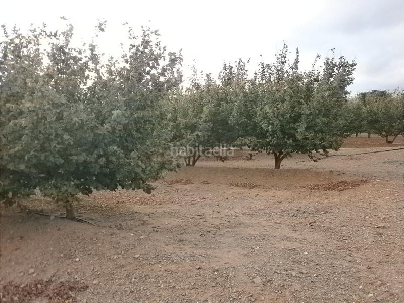 Foto ab1aa540-de9a-47f4-bf19-ab4b0930558f. Finca rústica a Castellvell del Camp