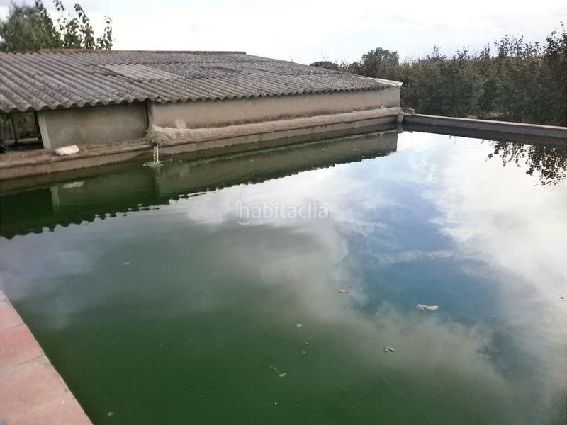 Foto d9ff4ce1-751a-40c2-a38c-11425bfce849. Finca rústica a Castellvell del Camp