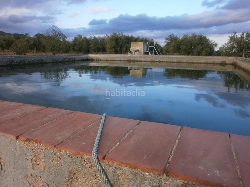 Foto e085bca9-4a7b-47e7-a4bd-2d80cdbd1476. Finca rústica a Castellvell del Camp