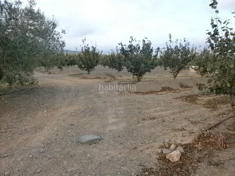 Foto fae62ffe-43d3-46cb-8c9b-1a6f086f6bd7. Finca rústica a Castellvell del Camp