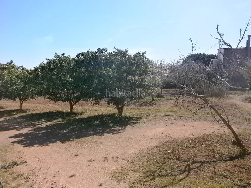 Foto 125c7b26-8d37-4e55-983a-ffe35ced1636. Finca rústica  con casa en Llevant Reus