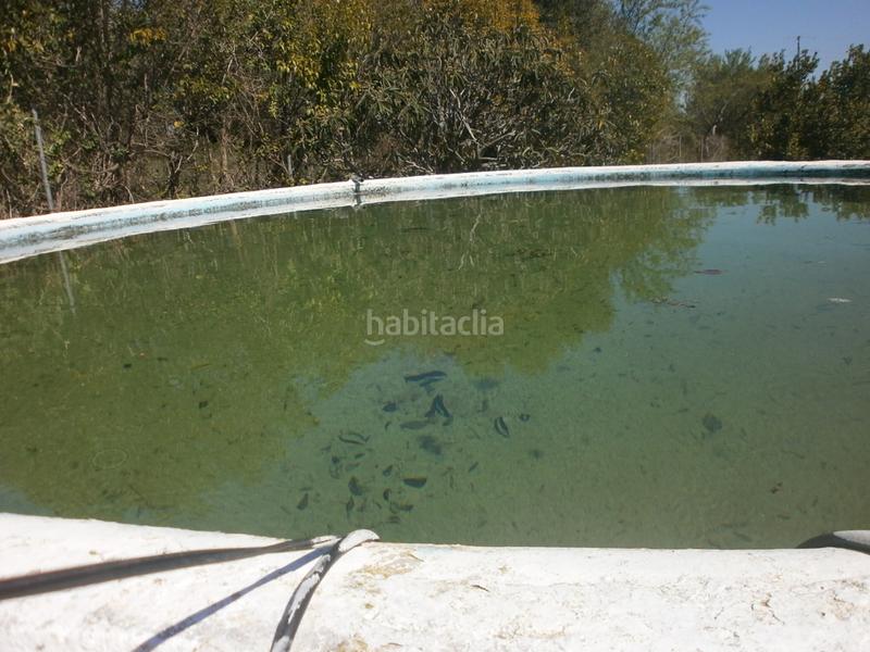 Foto f9e93978-3a0d-4aea-bcef-173a4ba1d9d0. Finca rústica  con casa en Llevant Reus