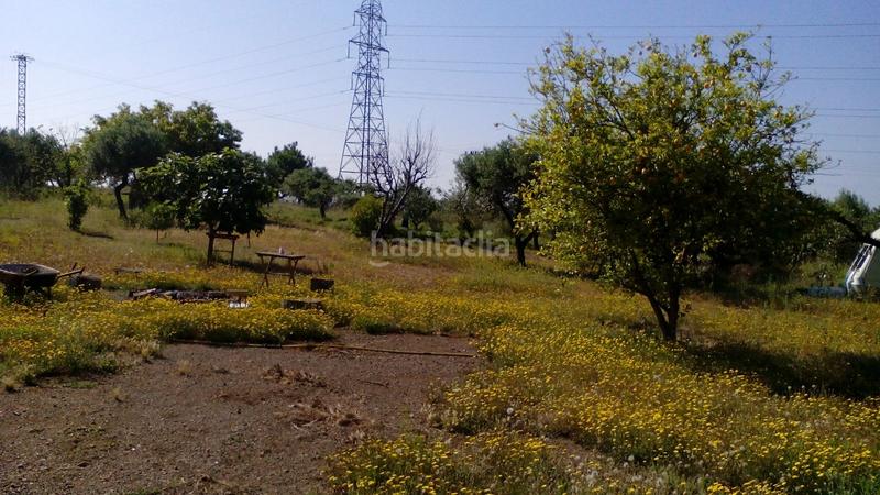 Foto 700c383c-8243-42d8-8c93-77c76805fe0b. Finca rústica a Riudecols