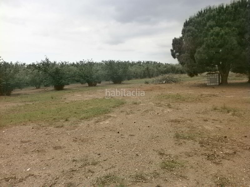 Foto fddaa1d6-1046-4bb4-b96b-a47f5680391e. Finca rústica a Selva del Camp (La)