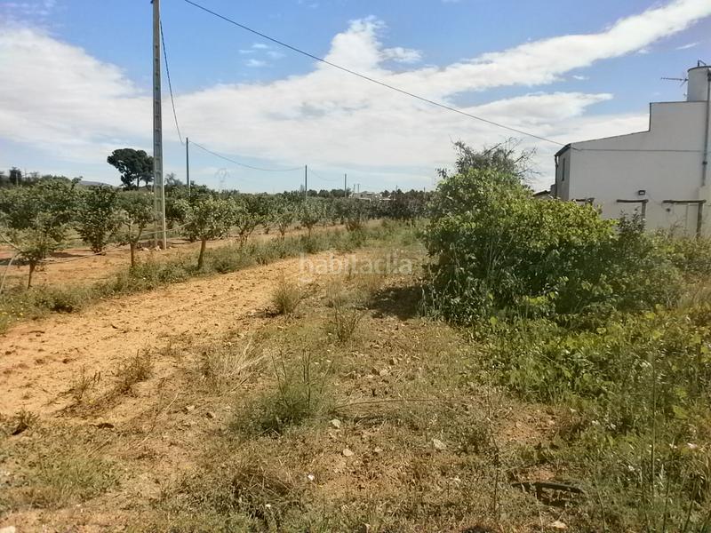 Foto 72b2aeb3-c956-43c5-9cff-ea426a8eafea. Finca rústica en Selva del Camp (La)