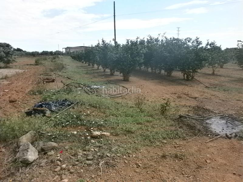 Foto 8d18a59f-da46-45fd-996c-4b2a65ddb9b5. Finca rústica en Selva del Camp (La)