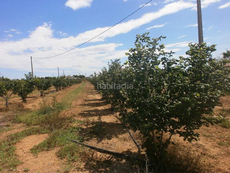 Foto 8dbec39a-c04e-4a6a-a083-221d3c8f4d0b. Finca rústica en Selva del Camp (La)