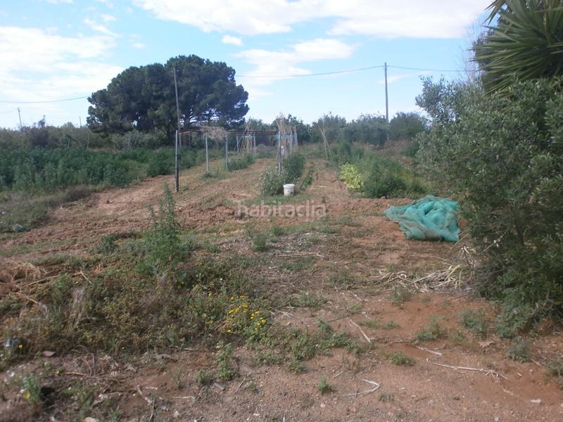 Foto c4187e07-1b13-46dc-bc59-a0fe625a9b58. Finca rústica en Selva del Camp (La)