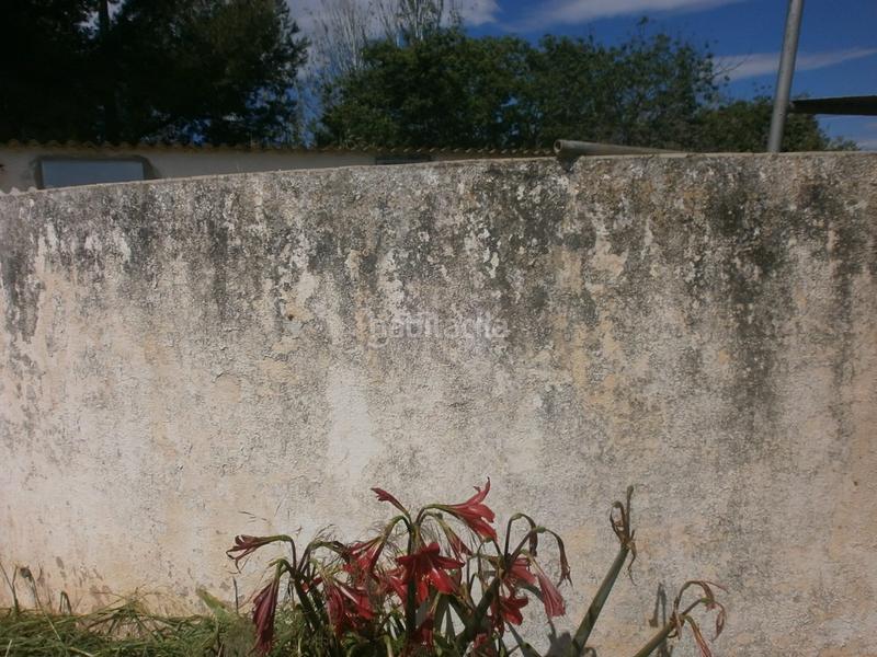 Foto e7cd26c6-e2c9-49d2-ada4-2db1532d2956. Finca rústica en Selva del Camp (La)