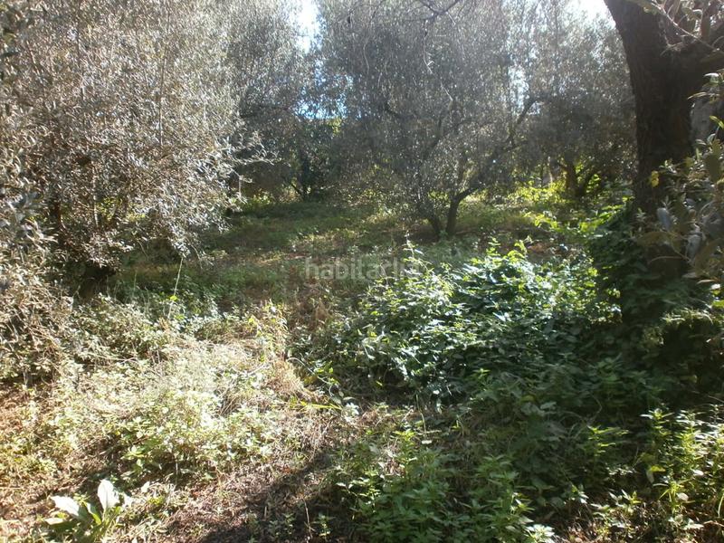 Foto 87e02ee1-a268-4cb6-8f82-8734bb4f42b7. Landgut in Vila-seca poble Vila-seca