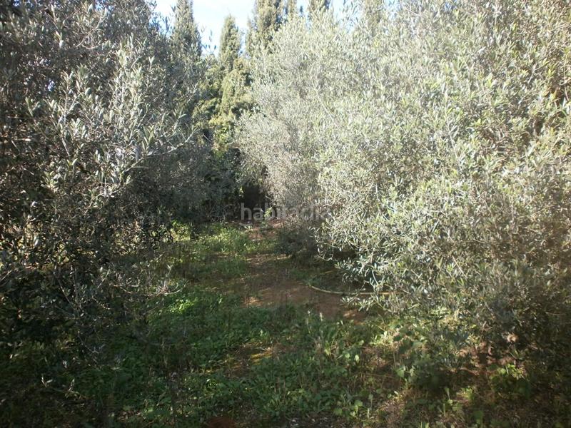 Foto 7ad0c6b2-6b95-42b2-962c-bf401bc8851b. Propriété dans Vila-seca poble Vila-seca