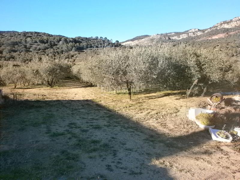 Foto b21ba667-ff0c-4f6a-9780-396c4ec48a70. Finca rústica en camí d'arbolí 1 en Alforja