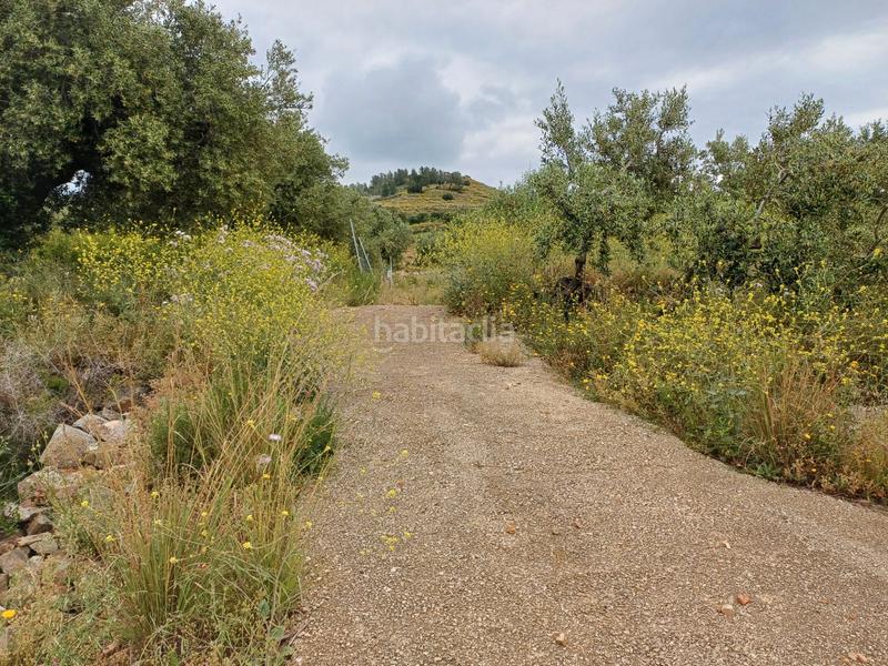 Foto 2669c5c9-3893-4d5e-b9e0-a98a47198236. Finca rústica a Riudecanyes