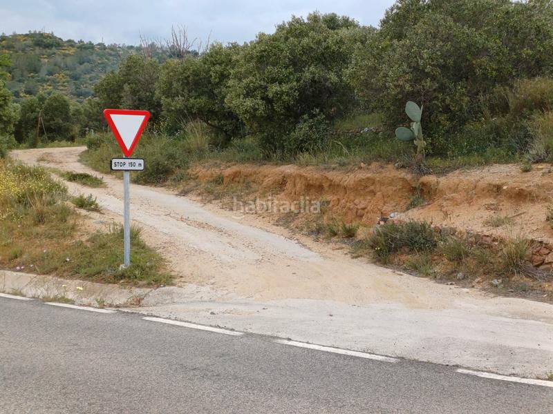 Foto 5ed35537-d9bf-425e-95b7-4851c85a8231. Finca rústica a Riudecanyes