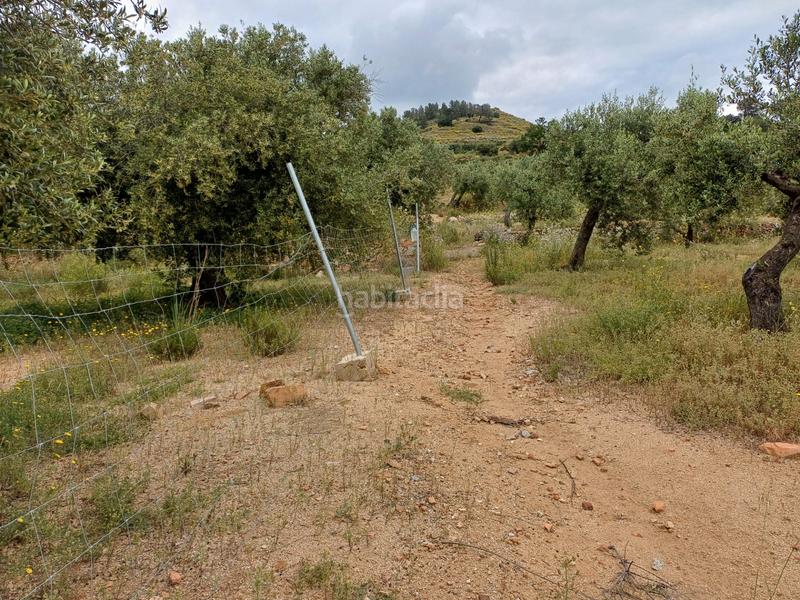 Foto 9f395dee-d6de-49af-9555-34f2aa7515fb. Finca rústica a Riudecanyes