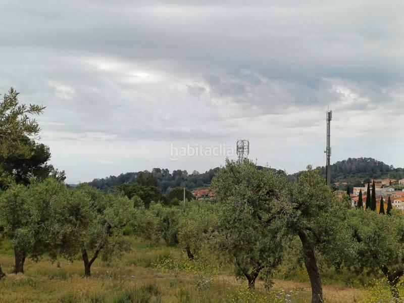 Foto a9b41bd7-247c-48a3-bd99-4f1d711e6c27. Finca rústica a Riudecanyes
