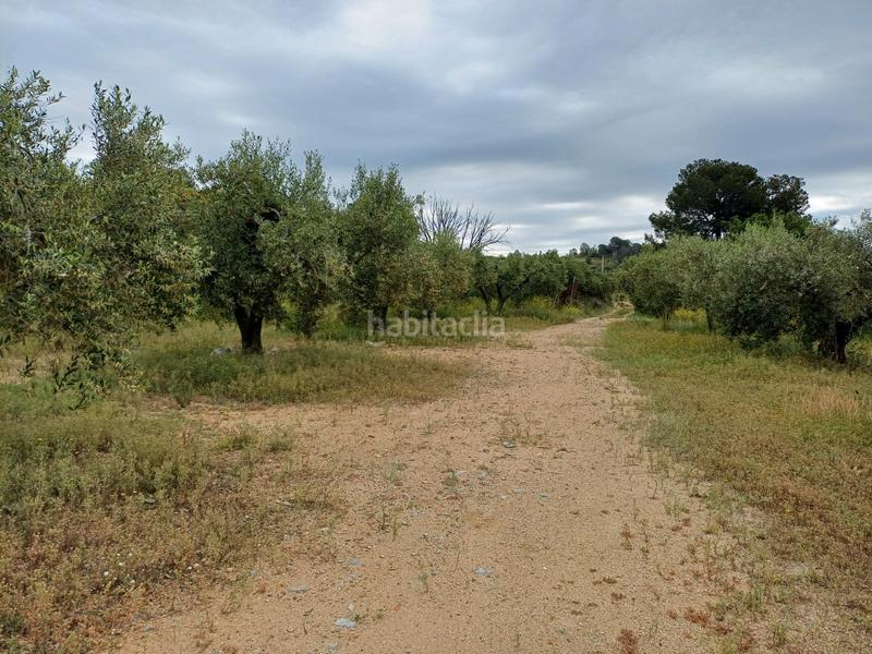Foto ccdc7dfb-d4a4-47d9-8a42-454625642f2d. Finca rústica a Riudecanyes