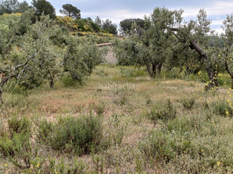 Foto db38a0a1-2bf0-4f36-b910-dd7b430476a7. Finca rústica a Riudecanyes