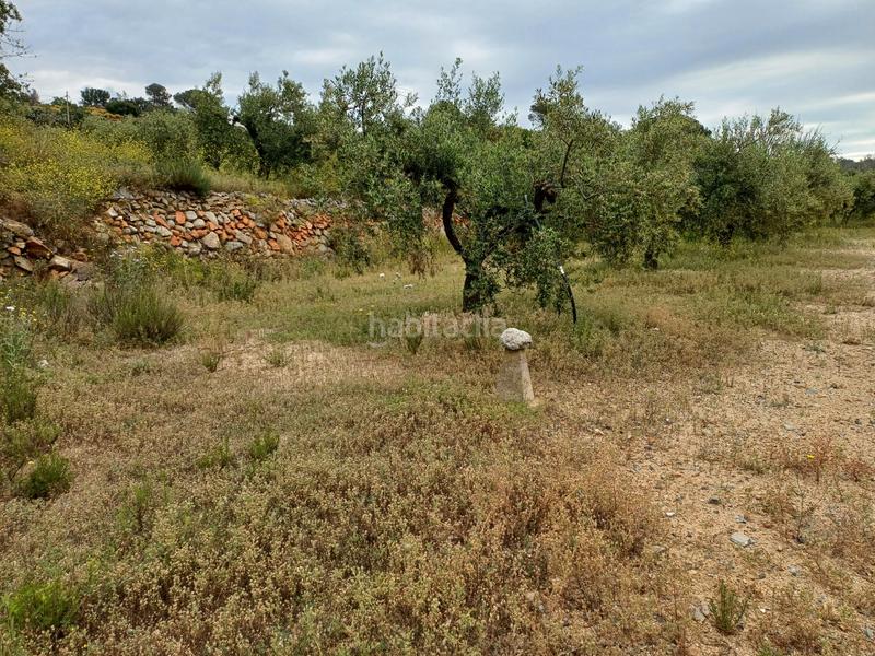 Foto ef84599a-16b4-4e4f-9cff-121be1b6c8b8. Finca rústica a Riudecanyes