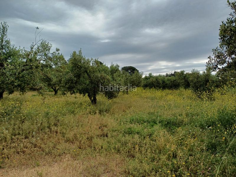 Foto f2a2df92-3239-4bab-838b-dba84b633ab9. Finca rústica a Riudecanyes