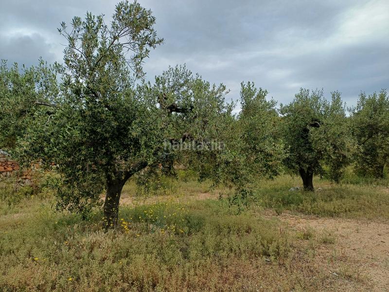Foto f9e44bee-787d-45f1-a152-24ca317a6a36. Finca rústica a Riudecanyes
