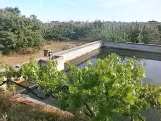 Finca rstica en Cam del recreo 25