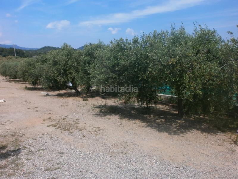 Foto 452199ac-43fd-44fe-bdeb-67e36b877f0c. Fondo rustico in Maspujols