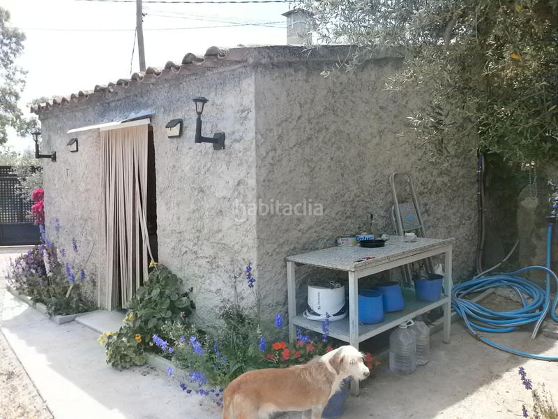 Foto 45ff8381-d22f-45db-a0ce-dfe4a7403b42. Fondo rustico in Maspujols