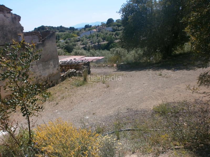 Foto 394faa17-c46a-4a3d-a686-4fc79d951d97. Finca rústica a Maspujols