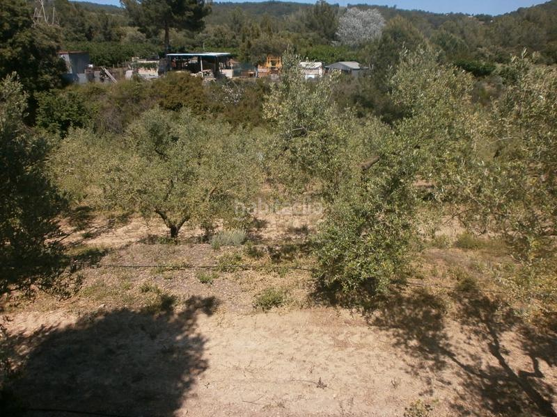 Foto 2e3e8df8-2516-4ee2-9dee-99836b469c98. Finca rústica en Maspujols