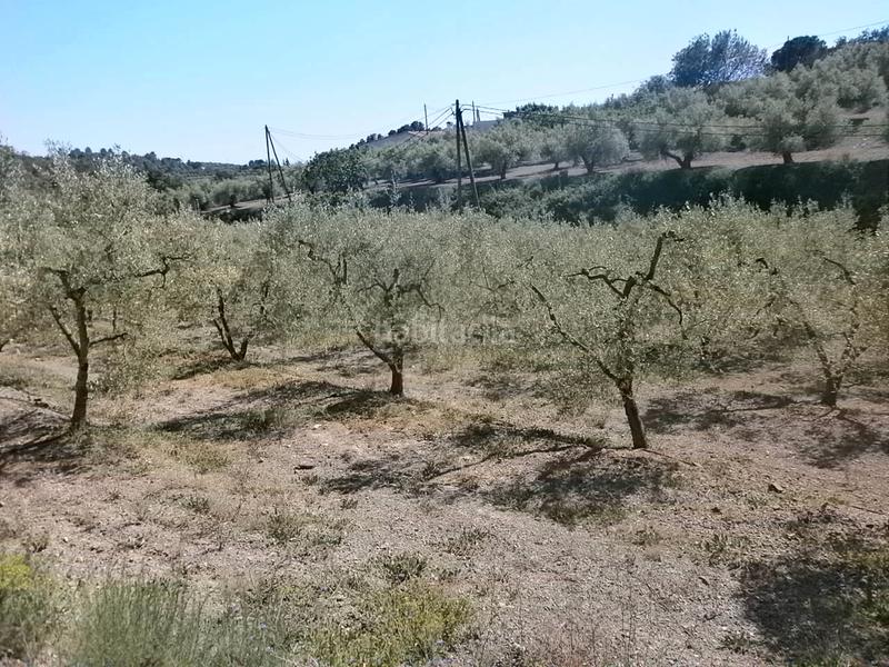 Foto 45d69cd1-58b2-414e-a0fc-8098cbd18696. Finca rústica en Maspujols