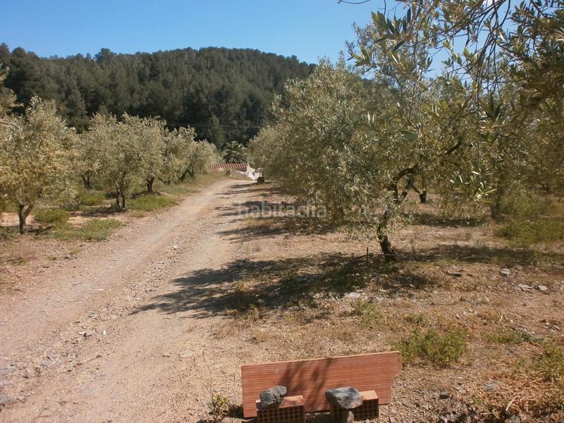 Foto 78886e4e-e146-47a8-8cb4-8ff2e3875761. Finca rústica en Maspujols