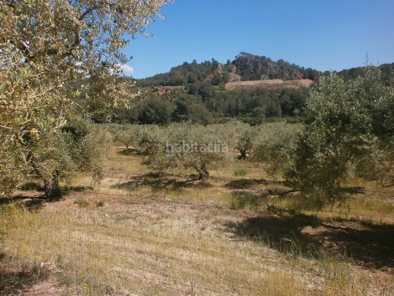 Foto c04e30f4-bbeb-4479-9dc4-61df60255fea. Finca rústica en Maspujols