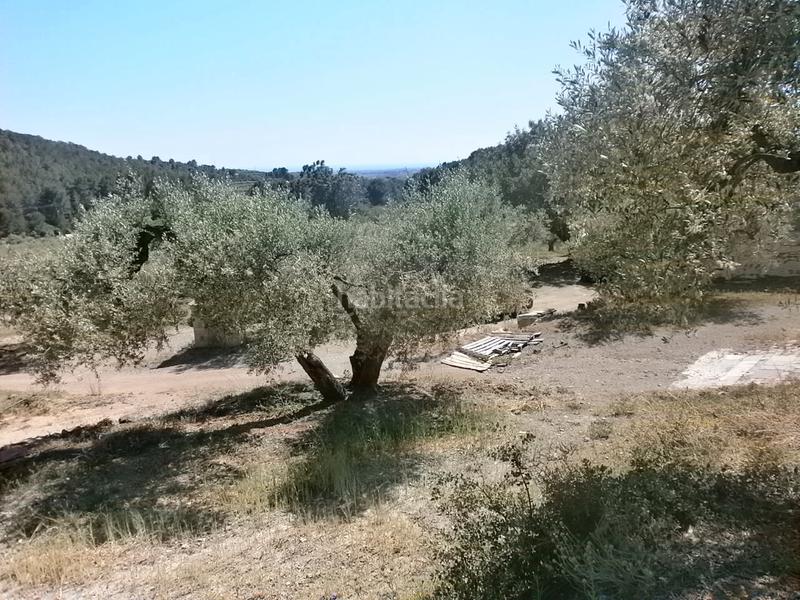 Foto f1aee1b9-1ae6-427b-a19a-cf26a37a97cf. Finca rústica en Maspujols