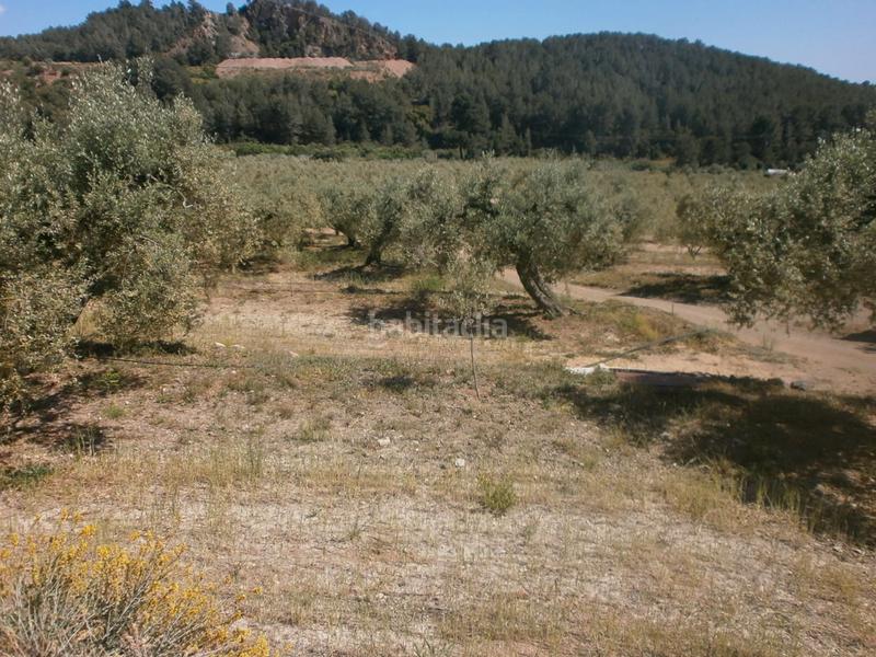 Foto fc52d2c9-9a68-4dd0-987c-0590c5fdc491. Finca rústica en Maspujols