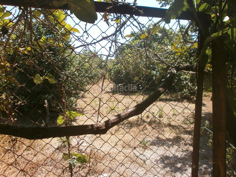 Foto 1f32f6a8-efad-4852-8d89-0cb716a38da1. Fondo rustico in Riudecols