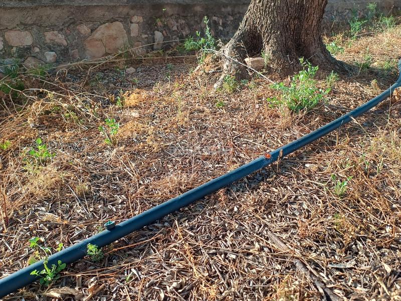 Foto 002b09e6-7bf6-471a-ae83-0e31380f18f7. Finca rústica a carretera de reus 88 a Alcover