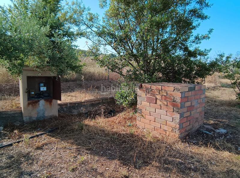 Foto 1e2156c2-0a02-4673-8abc-f63f82abf6b7. Finca rústica a carretera de reus 88 a Alcover