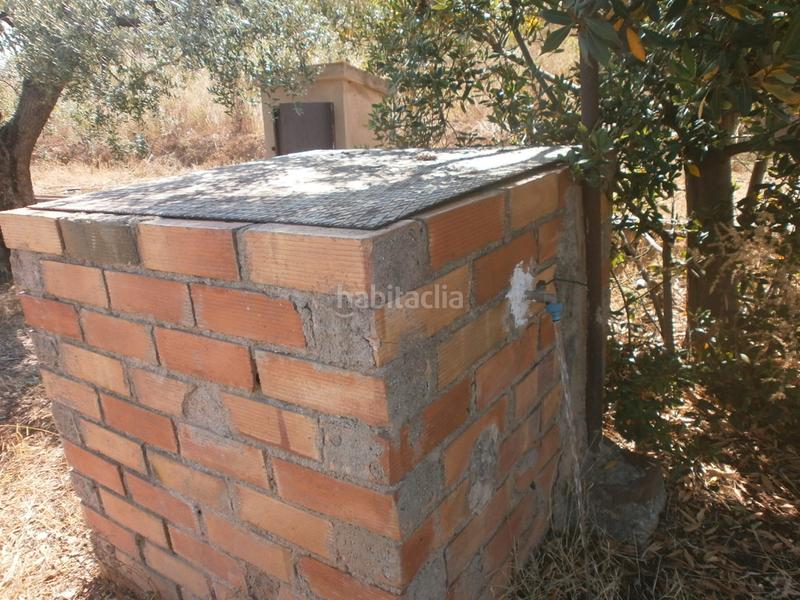 Foto 5579008d-66a9-4015-9d2b-0caf1caa1576. Finca rústica a carretera de reus 88 a Alcover