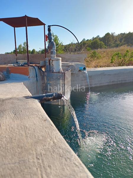 Foto 6a3bf165-956d-42ed-94aa-960af78fc3ec. Finca rústica a carretera de reus 88 a Alcover