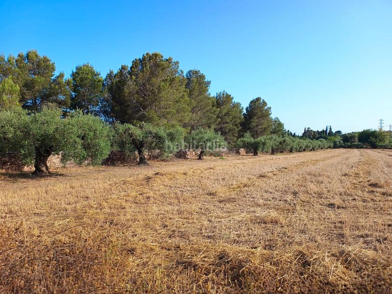 Foto 70030dd6-10af-42a6-9034-7282115599b5. Finca rústica a carretera de reus 88 a Alcover