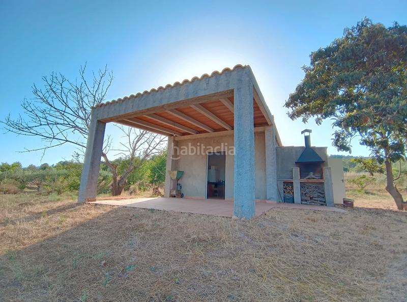 Foto a87f4c7d-27ee-458e-bdcc-96614934b14c. Finca rústica a carretera de reus 88 a Alcover