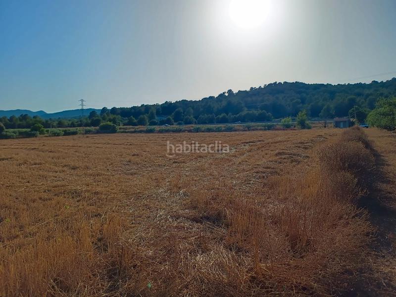 Foto b95171c3-da57-4f14-a0d3-abcc1cdd052b. Finca rústica a carretera de reus 88 a Alcover