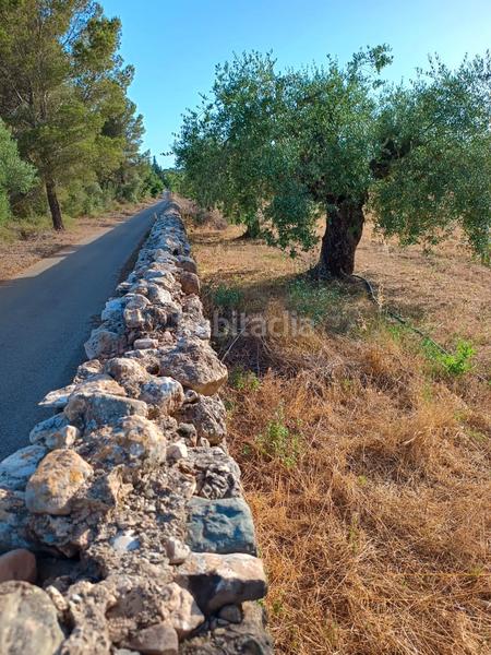 Foto bf6bd1de-4814-41c9-ad62-c0ead2487a80. Finca rústica a carretera de reus 88 a Alcover