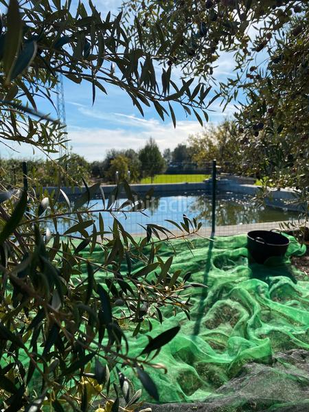 Foto c517d7a2-85f1-42e5-983b-dd08017f00e9. Finca rústica a carretera de reus 88 a Alcover