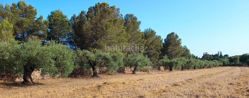 Foto 959eb6cf-6e41-4558-995b-899acdf8de67. Finca rústica en carretera de reus 88 en Alcover